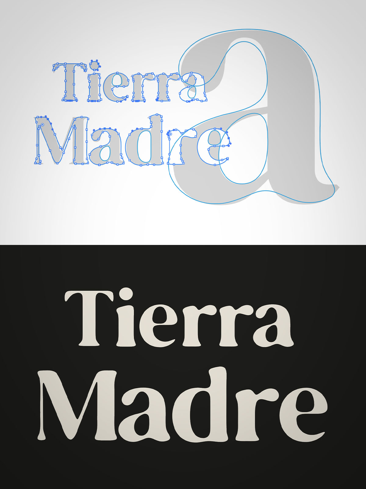 Typography Construction Detail